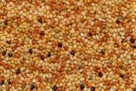 Home Detailed close-up of mixed millet seeds displaying a variety of golden hues, perfect for backgrounds.